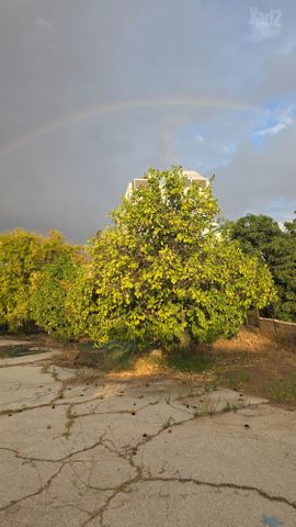 גני אילן