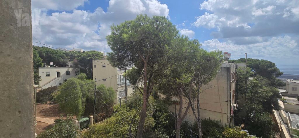 ויתקין 15