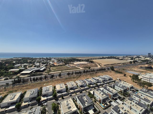 דולפין 2