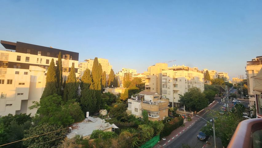 יחיאל מיכל פינס 