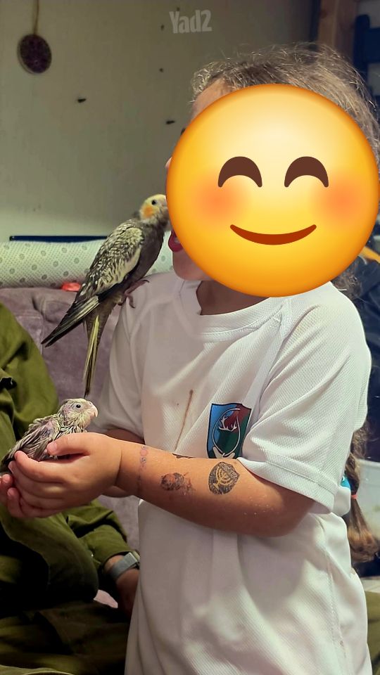 תמונת מודעה - חיות מחמד
