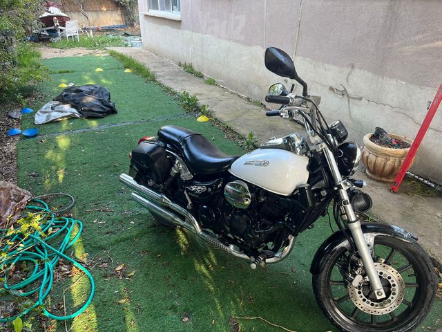 מודעת רכב דיאלים Roadwin 250