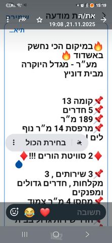 כינור 32
