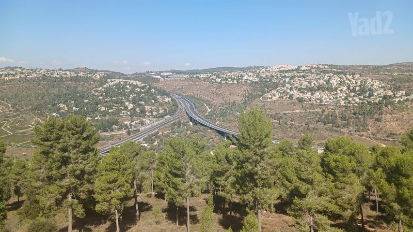 האדמו"ר מרוז'ין 20