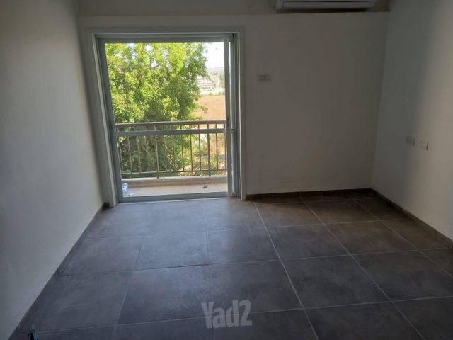 אילנות 1