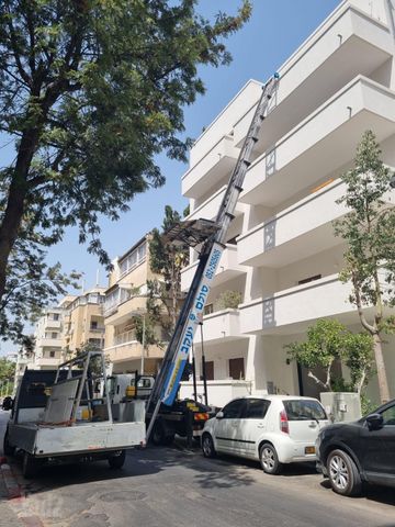 אחד העם 100