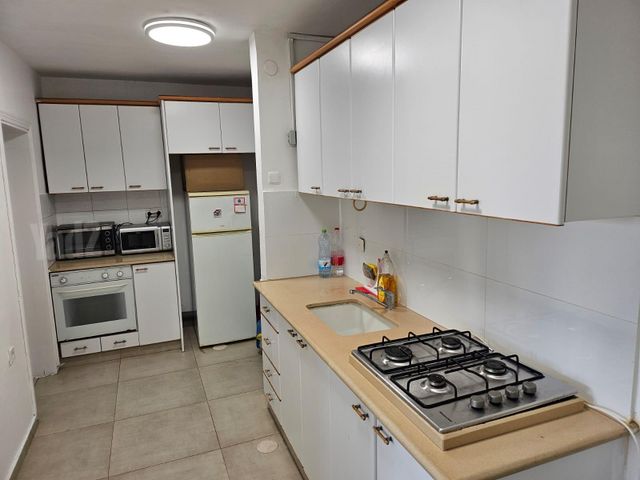 צביה לובטקין 34