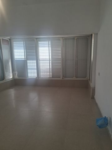 יהושע חנקין 105