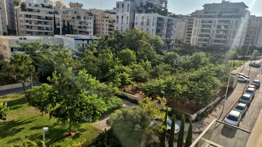 מרדכי מירקין 15