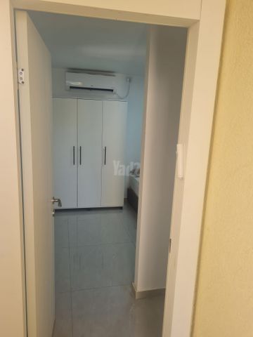 נתן רוטנשטרייך 8