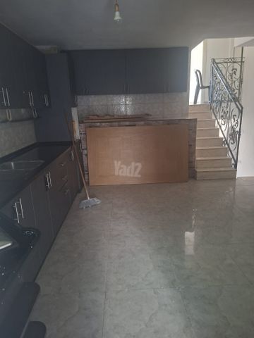 הרצי"ה קוק 2