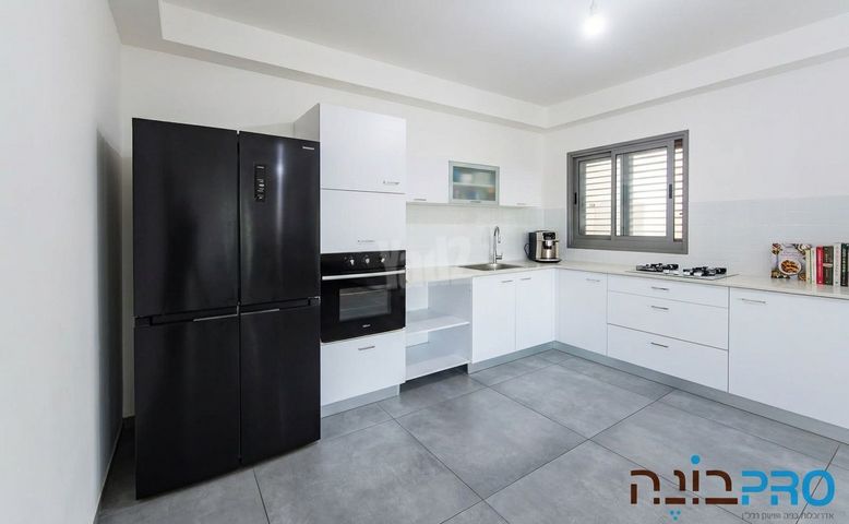 צאלון