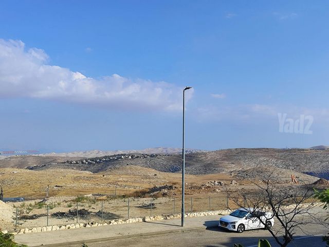 לבונה 