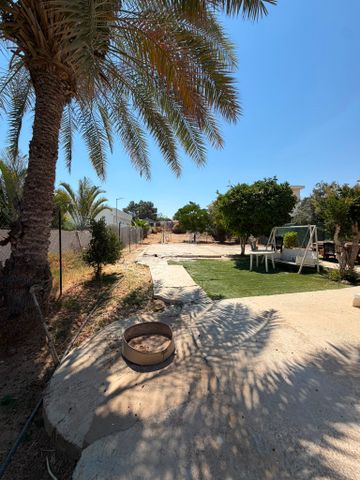 שיזף 61