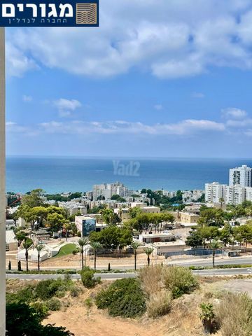 שונית 