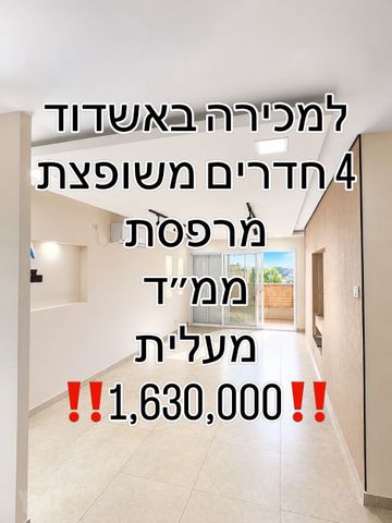 הרב קוק 