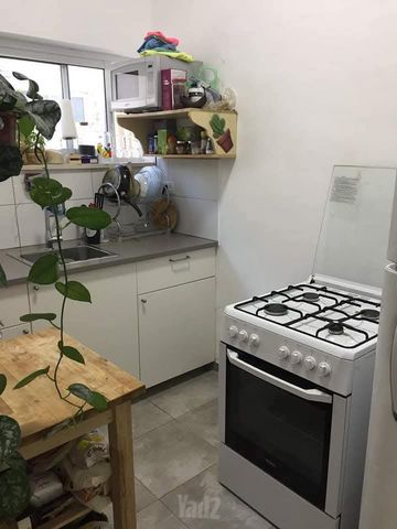 הקישון 