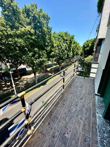 שדרות רוטשילד 