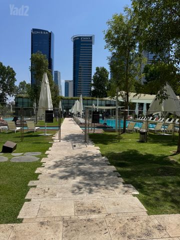 דירה להשכרה בתל אביב יפו (תיווך) — 2