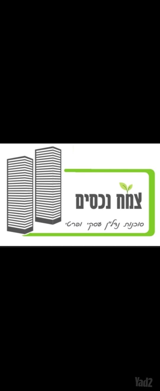מגרשים