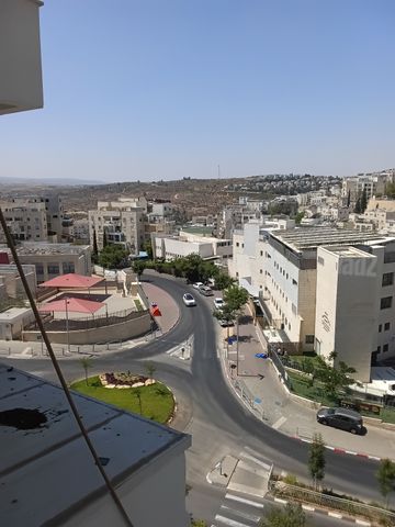 רמב"ם 20