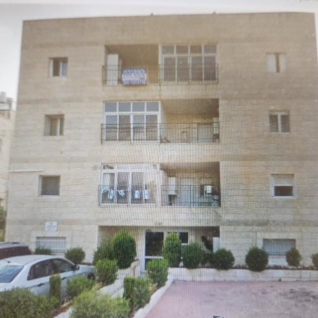 סמדר 3
