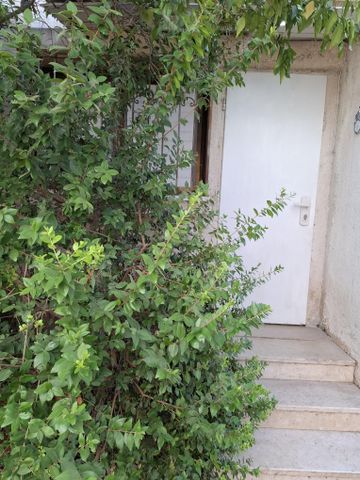 יערות דבש 2