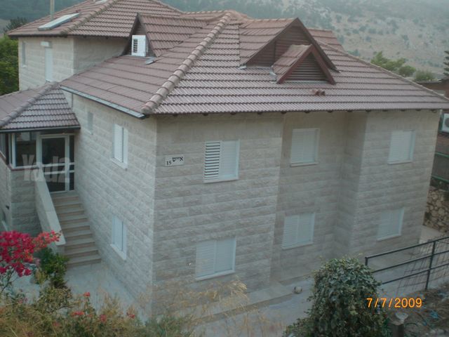 הצבעוני 15