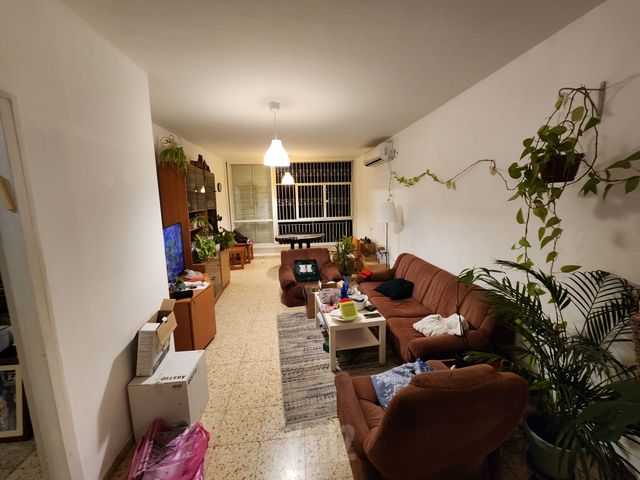 פינסקר 51