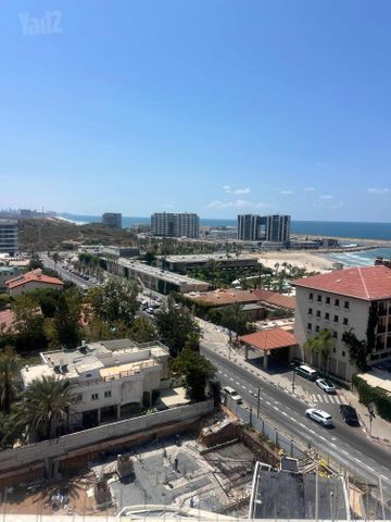 אלי לנדאו 