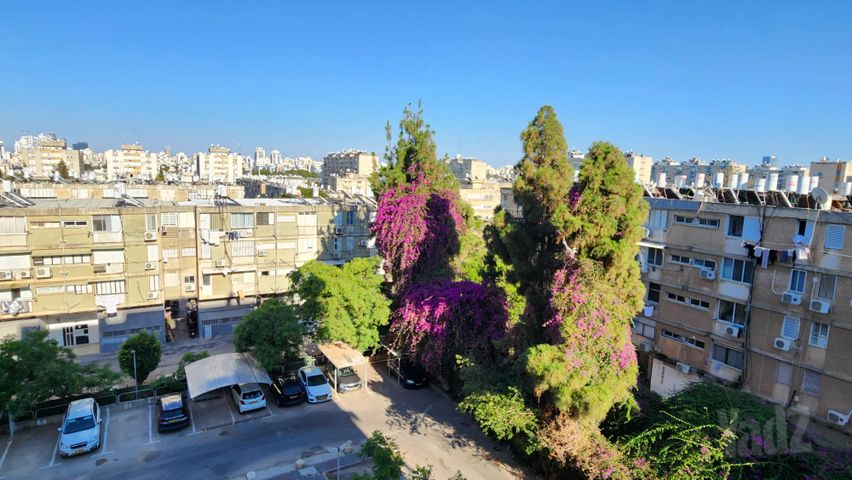 דוד רזיאל 