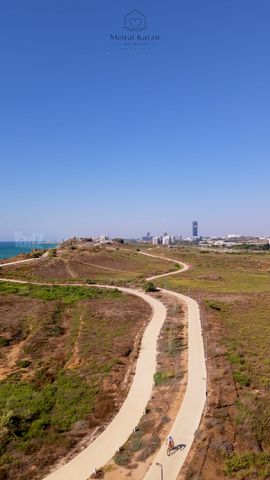 ש"י עגנון 