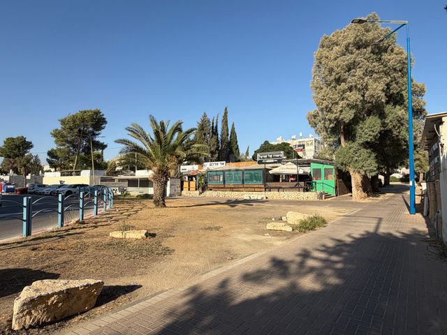 יוסף בן מתתיהו 11
