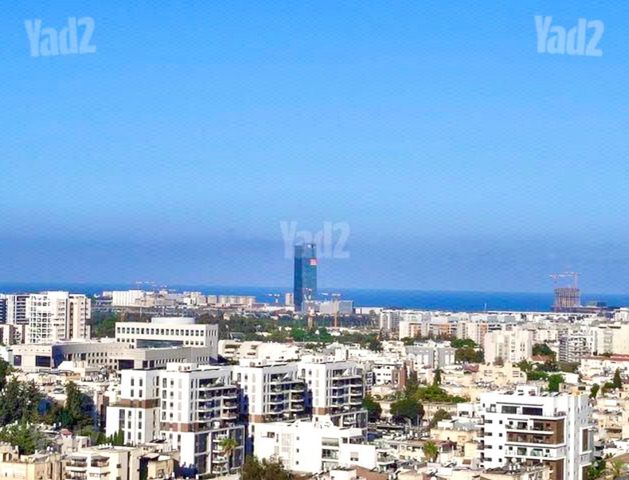 מוהליבר 