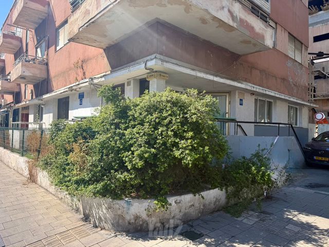 שיינקין 61