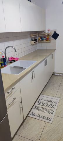 שמעיה 14