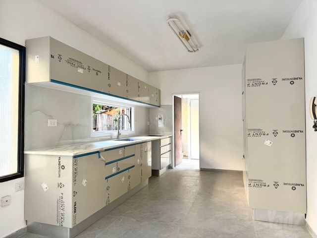 יהודה הלוי 