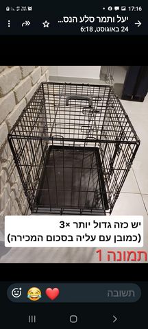 תמונת מודעה - חיות מחמד