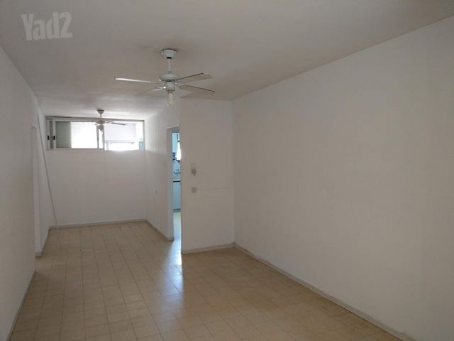 יהודה המכבי 2