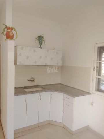 בורוכוב 20