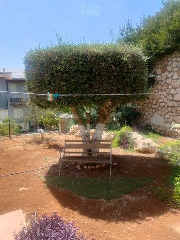 הר אביטל 7