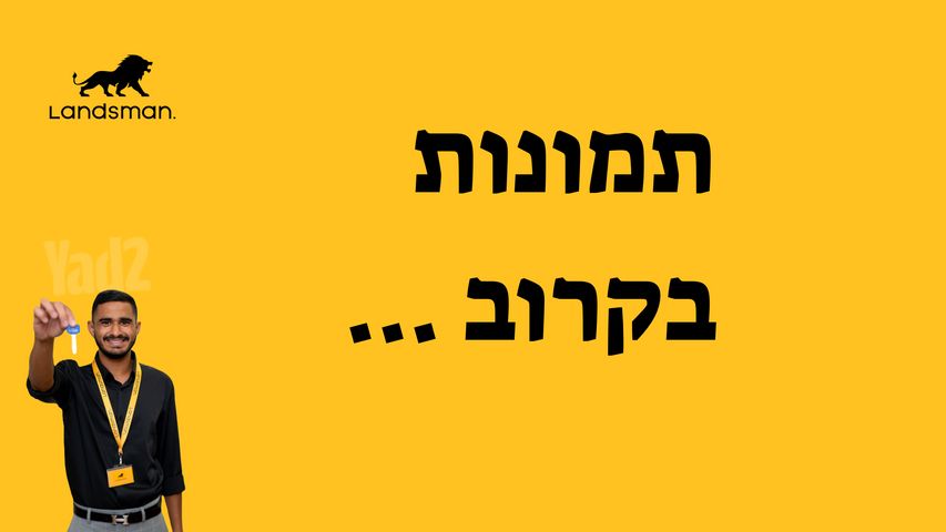דירה, ראשון לציון