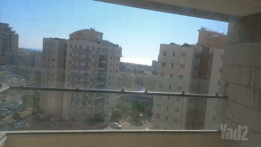 אברהם בלסברג 