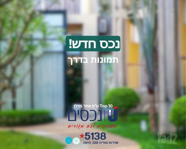 הנשר 