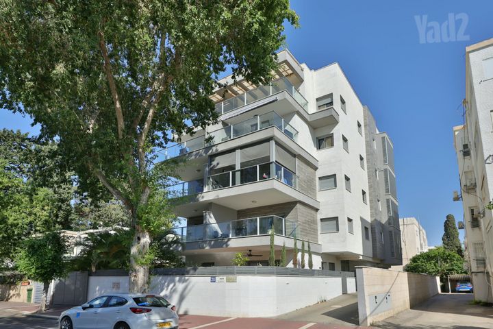 הנרקיסים