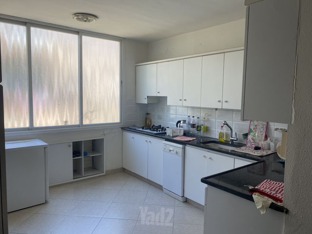 ריינס 
