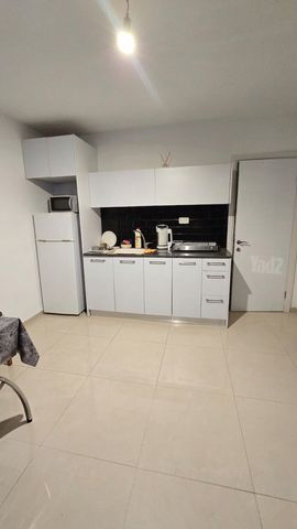 שבטי ישראל 62