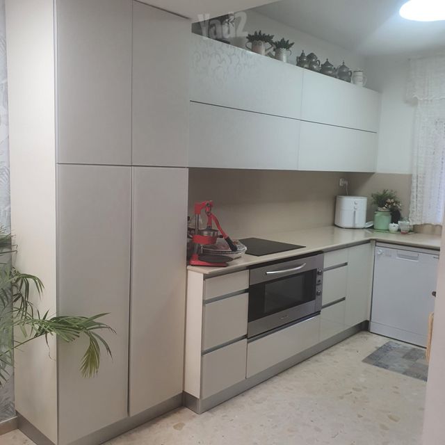 השריג 31