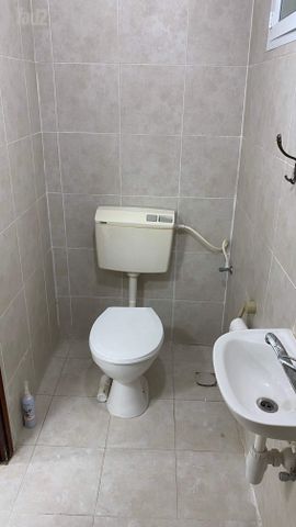 הפרדסים 56