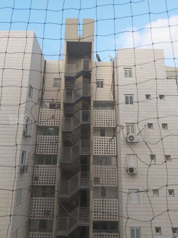 יואב בן צרויה 11